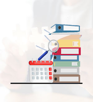Income Tax Filing